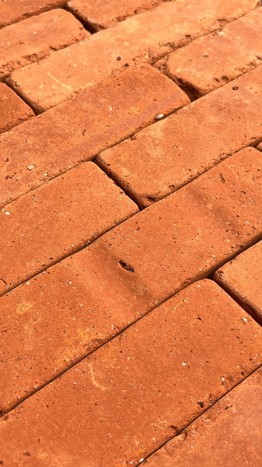Terracotta Collection