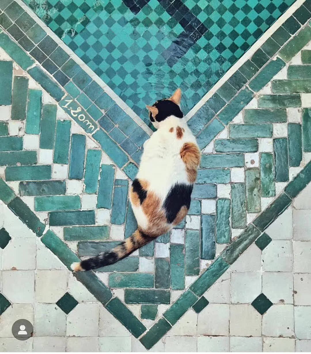 Moroccan Style Green and White Composite Ceramic Mosaic Tile